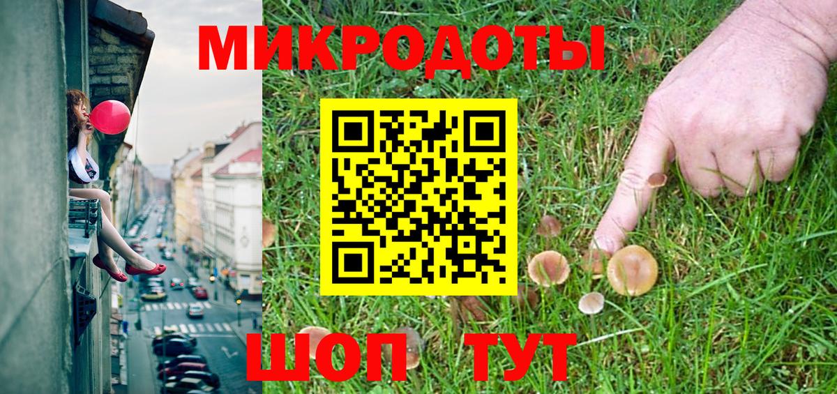 Псилоцибиновые грибы Psilocybine cubensis Тара